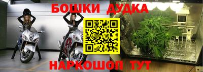 прущие грибы Владимир