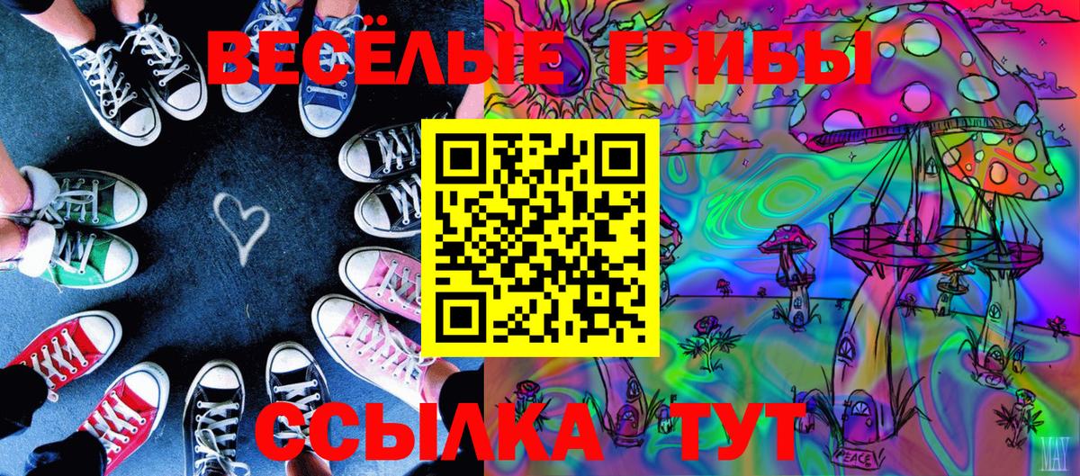 Галлюциногенные грибы GOLDEN TEACHER Дзержинск