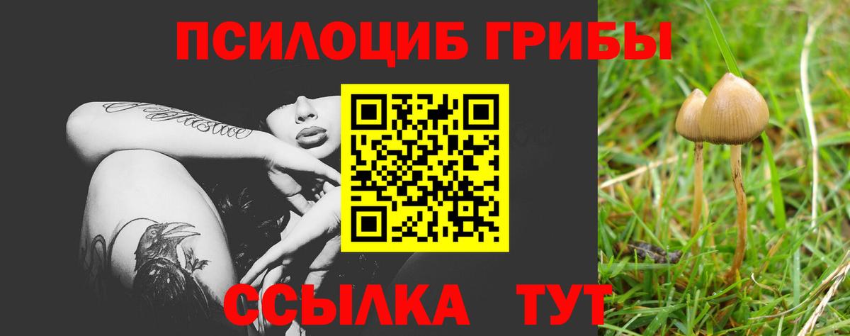 Псилоцибиновые грибы GOLDEN TEACHER  Вход с VPN  Дзержинск 